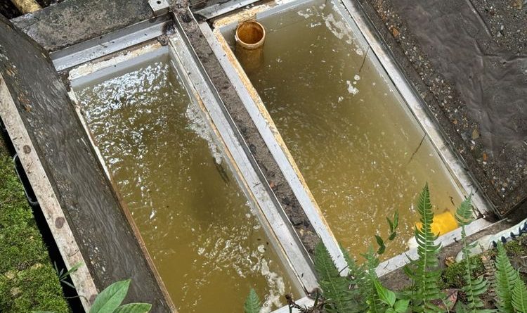 Pozetas de agua estancada