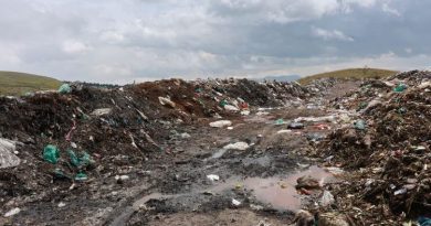 CAR suspende compostera por presunta contaminación de una fuente hídrica en Cundinamarca Fuente hídrica contaminada