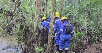 Fenómeno de El Niño aumenta riesgo de caída de árboles: CAR activa atención prioritaria Socorristas de Cundinamarca recorriendo las ronas de los ríos