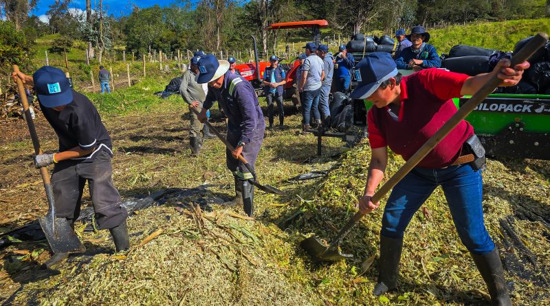 Campesinos cultivando papa en Cundinamarca