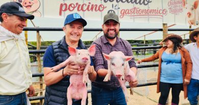 Ubalá realizó el Primer Festival Porcino Gastronómico para apoyar la comercialización y reconocer el trabajo de los porcicultores Criadores de porcinos en Úbala Cundinamarca dando muestra de las especies en una feria