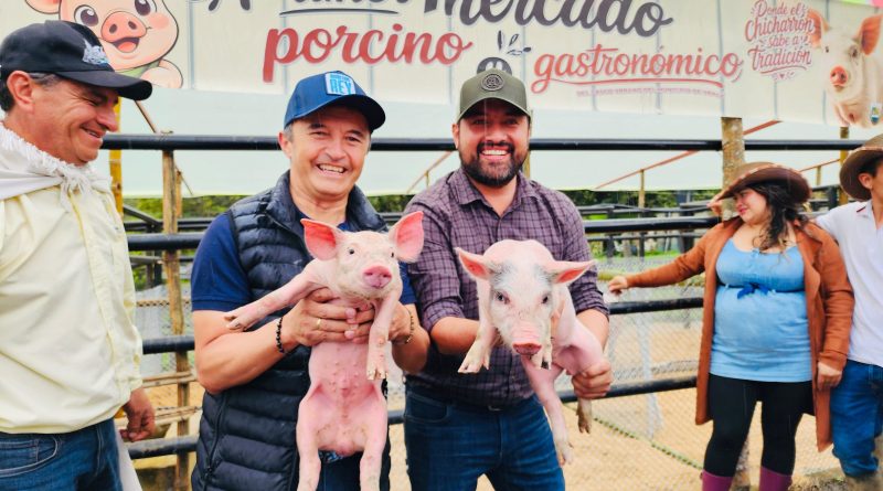 Criadores de porcinos en Úbala Cundinamarca dando muestra de las especies en una feria
