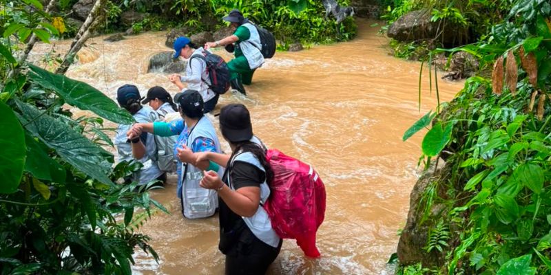 Grupo de socorristas en fiebre amarilla