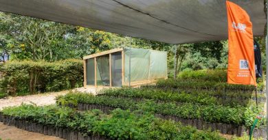 CAR pone en marcha viveros municipales para producir árboles nativos y enfrentar el cambio climático Con las primeras 15 Aulas Ambientales Forestales, la CAR fortalece la capacidad de los municipios para disponer de material vegetal para la restauración ecológica y la adaptación al cambio climático.