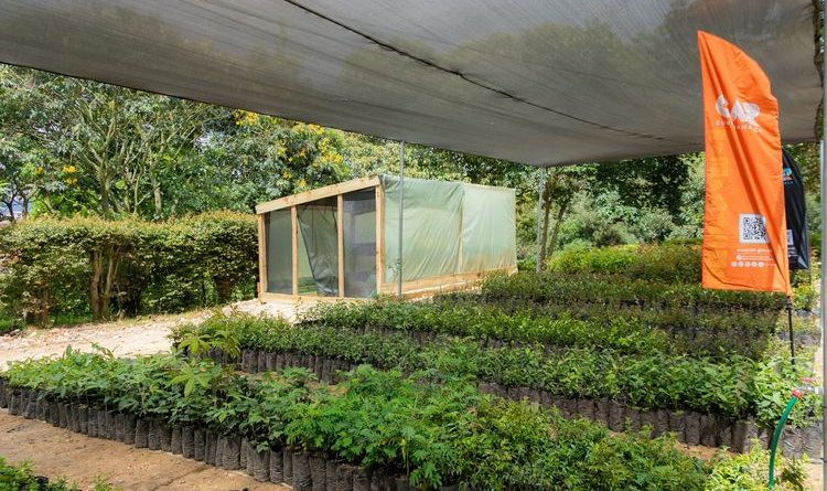 Con las primeras 15 Aulas Ambientales Forestales, la CAR fortalece la capacidad de los municipios para disponer de material vegetal para la restauración ecológica y la adaptación al cambio climático.