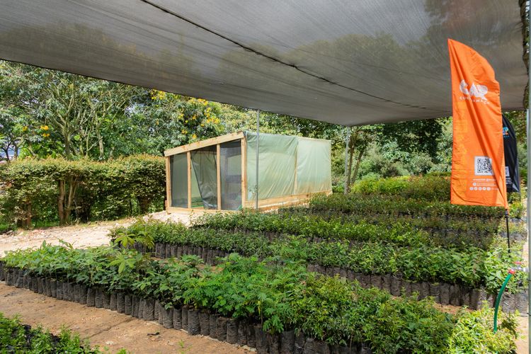 Con las primeras 15 Aulas Ambientales Forestales, la CAR fortalece la capacidad de los municipios para disponer de material vegetal para la restauración ecológica y la adaptación al cambio climático.