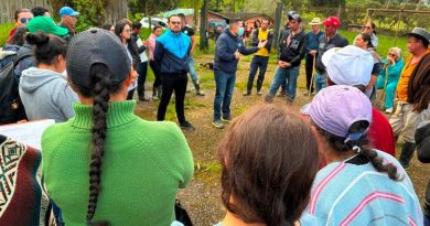 Oso Andino en Cundinamarca