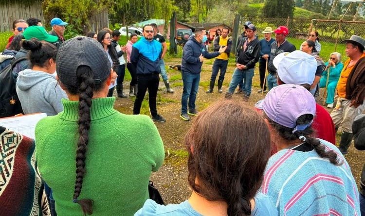 Oso Andino en Cundinamarca
