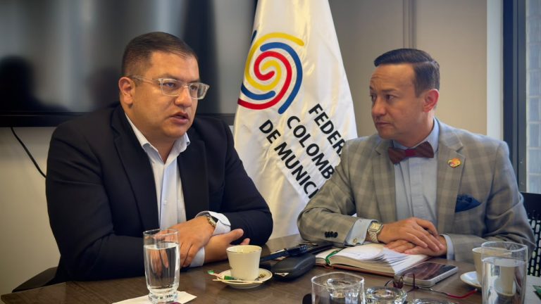 Fedemunicipios