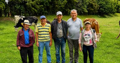 Sector lechero en Cundinamarca