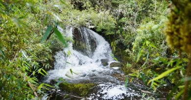Agua, bajo presión: CAR abrió 240 procesos por afectaciones al recurso hídrico en siete meses Centros acuíferos en Cundinamarca