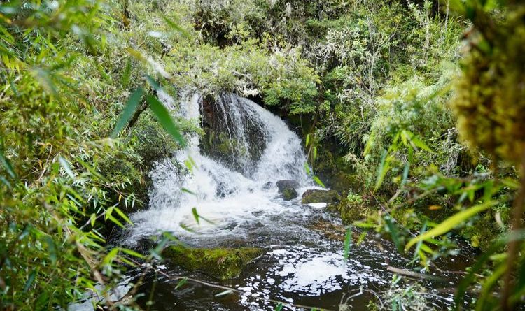 Centros acuíferos en Cundinamarca