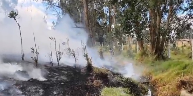 unificado cuando sea necesario y promover el uso eficiente del agua y la prevención de quemas que puedan originar nuevos incendios.