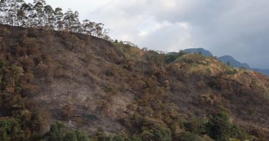 Montañas indenciadas