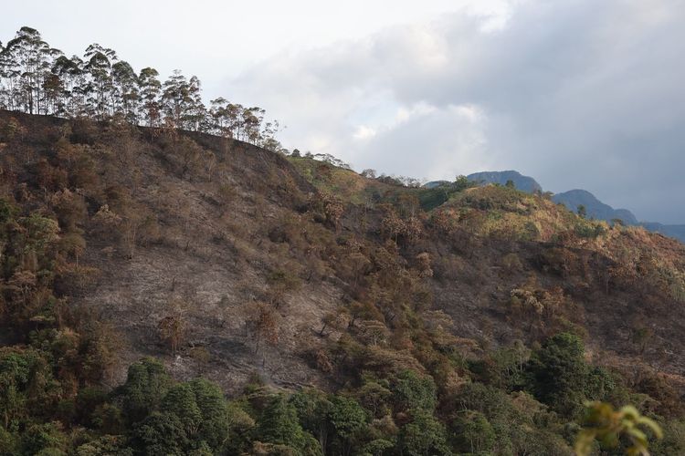 Montañas indenciadas