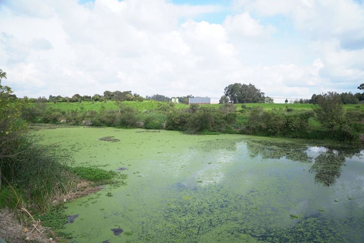 pues tanto la gestión ambiental como la gestión del riesgo son responsabilidad de todos los sectores y grupos.