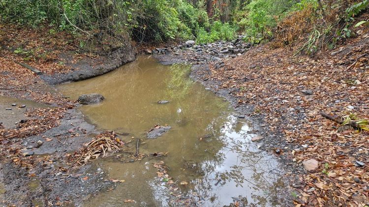Prioridad al consumo humano: la CAR entra a regular y suspender concesiones de agua en 35 municipios por sequía Tramo de agua contaminada
