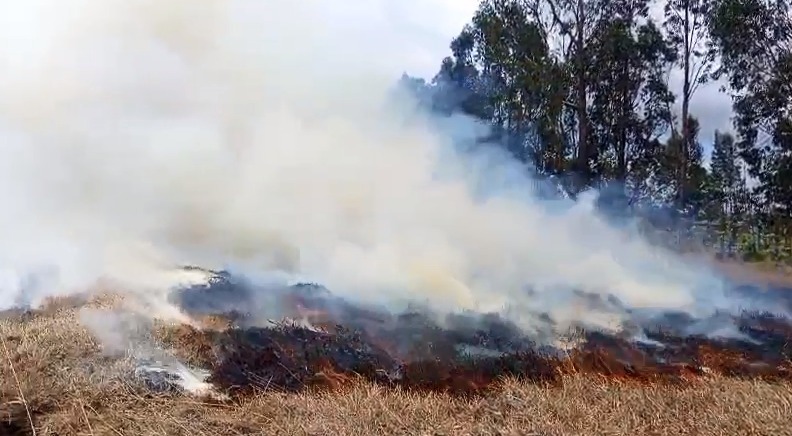 828 incendios forestales han afectado cerca de 3.140 hectáreas en Cundinamarca durante 2026 Quema de lotes e incendios en Cundinamarca
