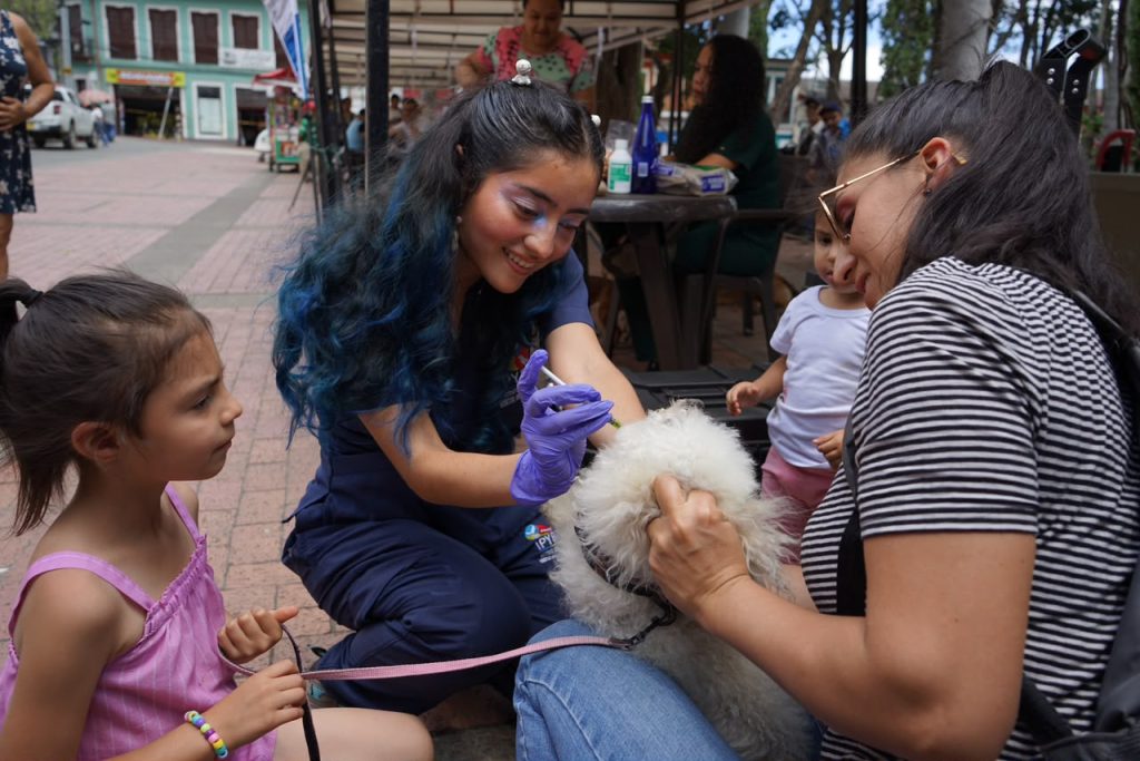 Durante el actual gobierno se han realizado 36.645 esterilizaciones en los 116 municipios del departamento, además de 12.507 valoraciones médico-veterinarias y 939 procedimientos de herraje mediante brigadas de bienestar animal.