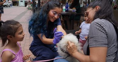 Durante el actual gobierno se han realizado 36.645 esterilizaciones en los 116 municipios del departamento, además de 12.507 valoraciones médico-veterinarias y 939 procedimientos de herraje mediante brigadas de bienestar animal.