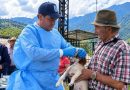 Veterinario dando de medicamento a un perro