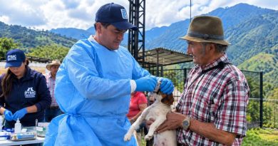Cundinamarca realiza 200 atenciones veterinarias durante la emergencia en Guayabetal Veterinario dando de medicamento a un perro
