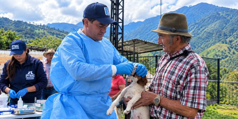 Veterinario dando de medicamento a un perro