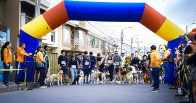 Carrera de mascotas en Chía