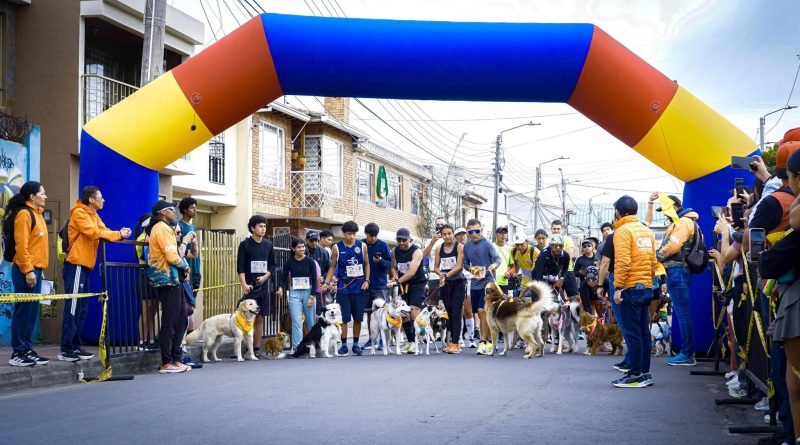 Carrera de mascotas en Chía