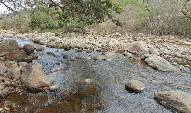 quebrada fluye entre rocas de distintos tamaños. En las orillas hay árboles y vegetación.